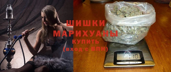 сатива Костерёво