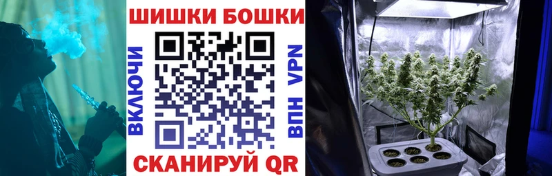 где можно купить   Кропоткин  Каннабис план 